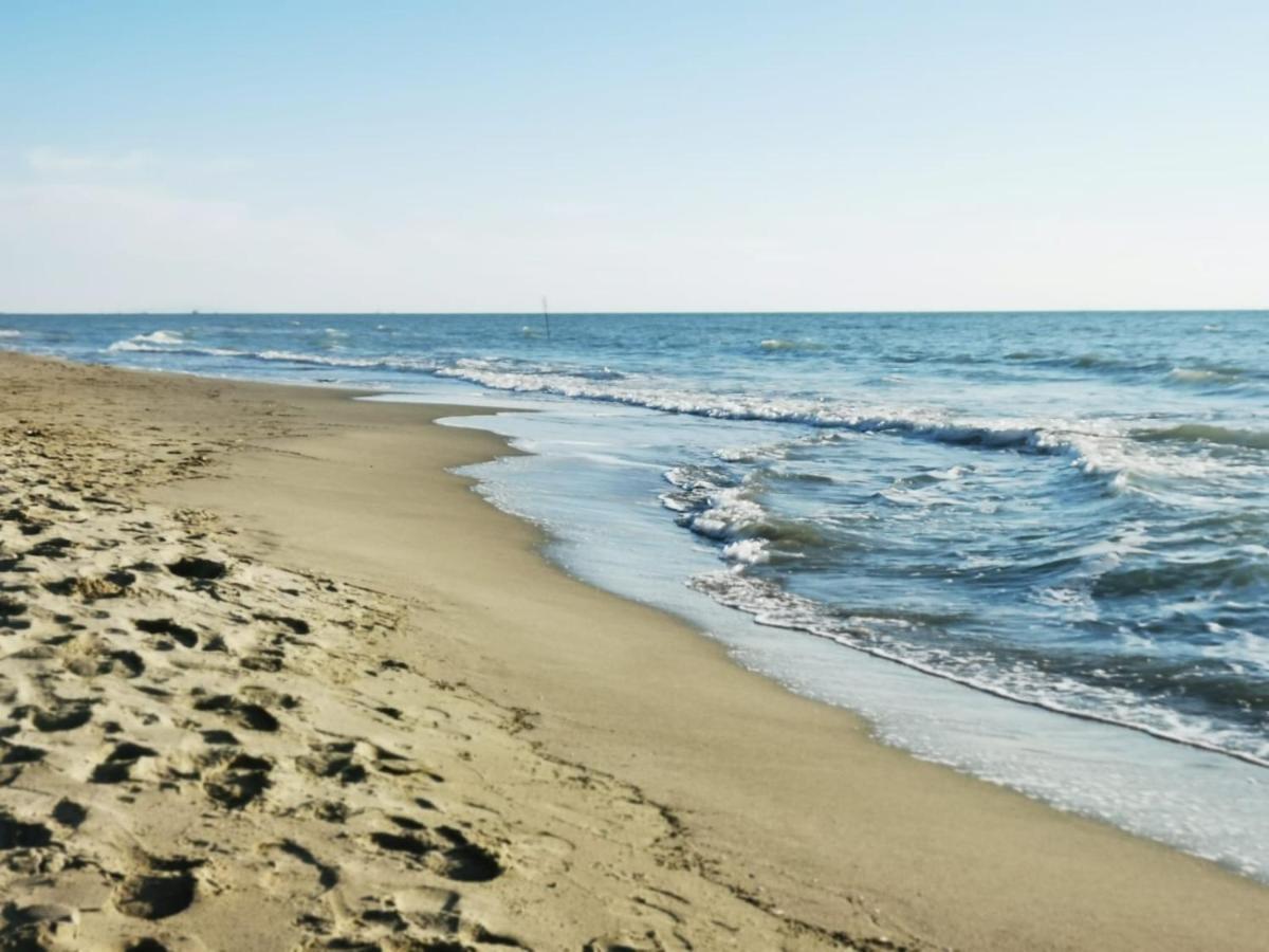 Appartamento In Villa A Tirrenia, Eleganza E Comfort A Pochi Passi Dal Mare بيزا المظهر الخارجي الصورة